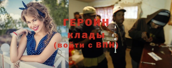 гашик Ладушкин