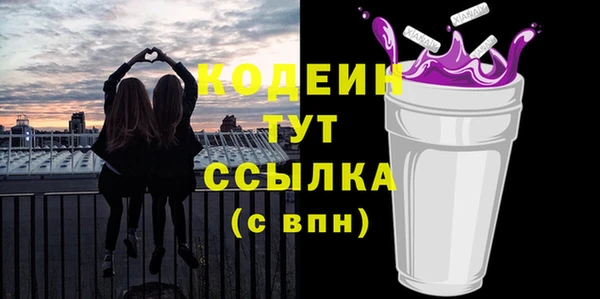 гашик Ладушкин