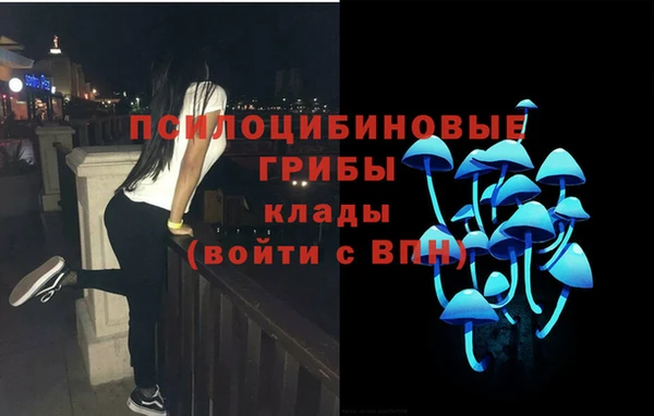 mdpv Лагань