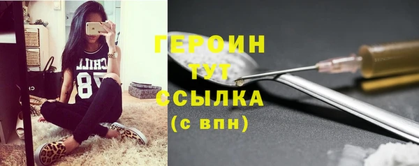 гашик Ладушкин