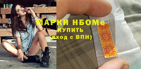 гашик Ладушкин