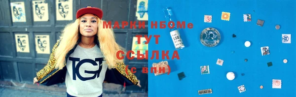 мдпв Лабытнанги
