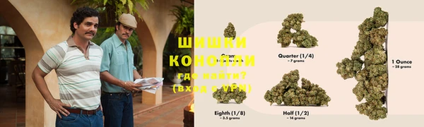 гашик Ладушкин
