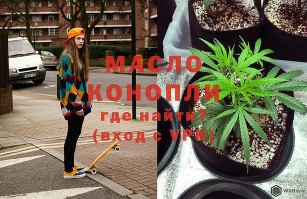 гашик Ладушкин