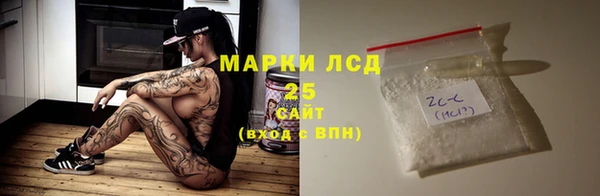 гашик Ладушкин