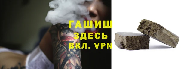 гашик Ладушкин