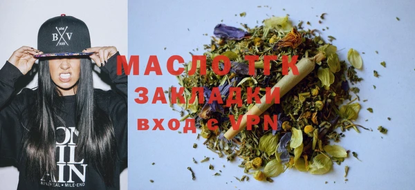 гашик Ладушкин
