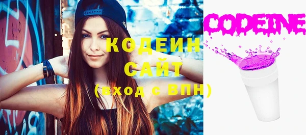 мдпв Лабытнанги
