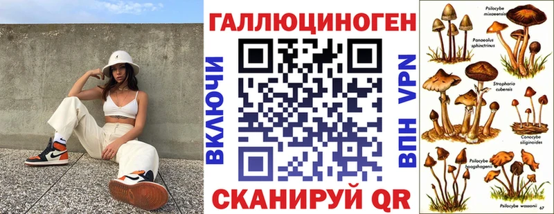 Купить  Новомичуринск  Галлюциногенные грибы мицелий 
