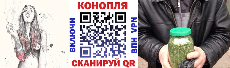 Шишки марихуана MAZAR  Купить закладки  Новомичуринск 